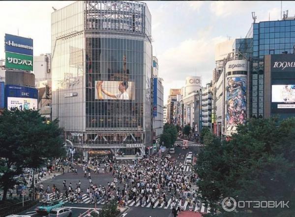 Shibuya Crossing