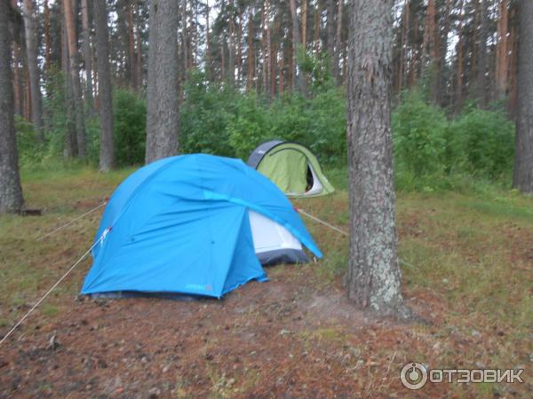 Кемпинг Олений бор (Тверская область, Калязинский район, д. Мицеево) фото