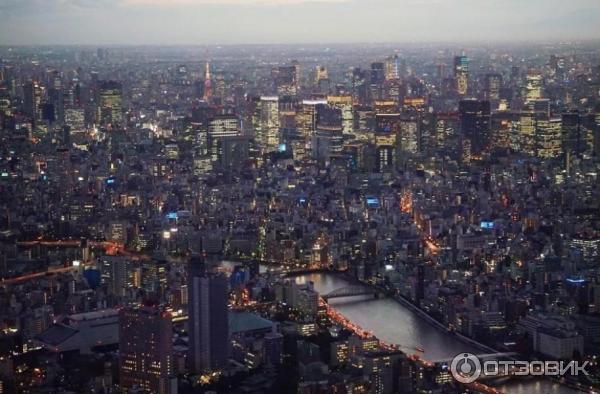 Tokyo Tower