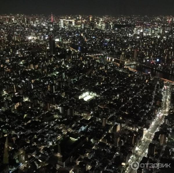 Ночной Токио с высоты 250 метров (Tokyo Tower)