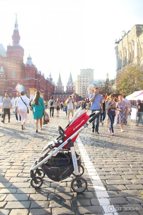 Коляска Uppababy Cruz фото