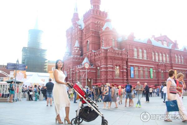 Коляска Uppababy Cruz фото