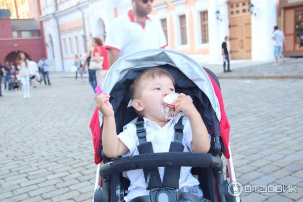 Коляска Uppababy Cruz фото