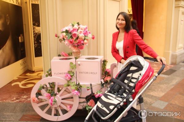Коляска Uppababy Cruz фото