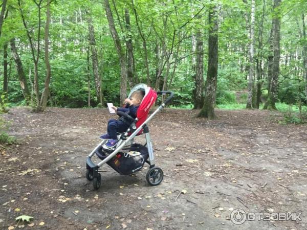 Коляска Uppababy Cruz фото