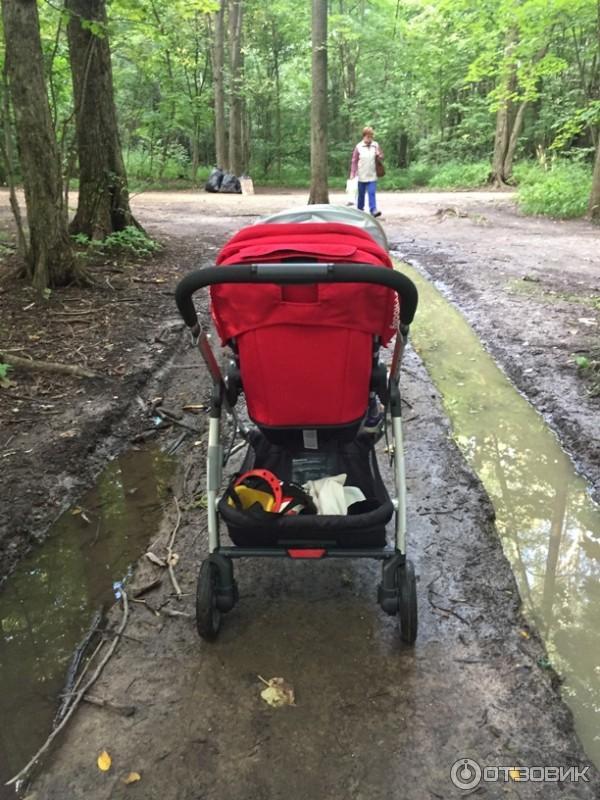 Коляска Uppababy Cruz фото