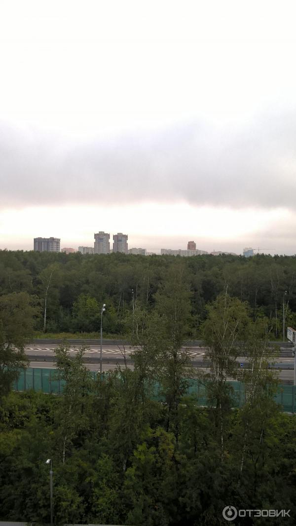 Альянс Гринвуд Отель (Россия, Москва) фото