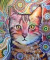 Кошечка-мур