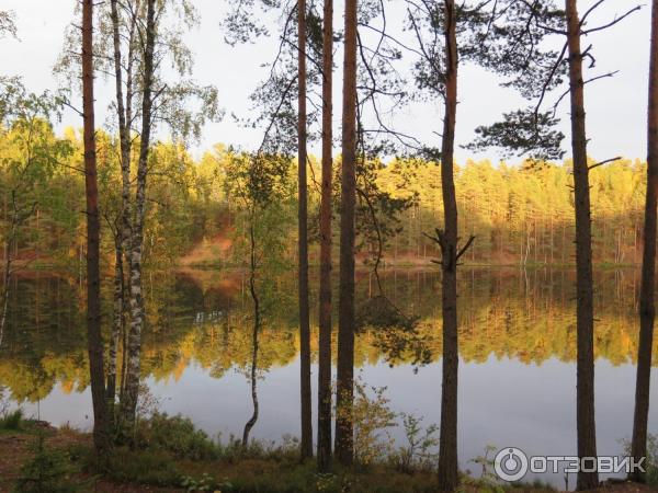 Кирочное подворье Загородная база (Россия, Ленинградская область) фото