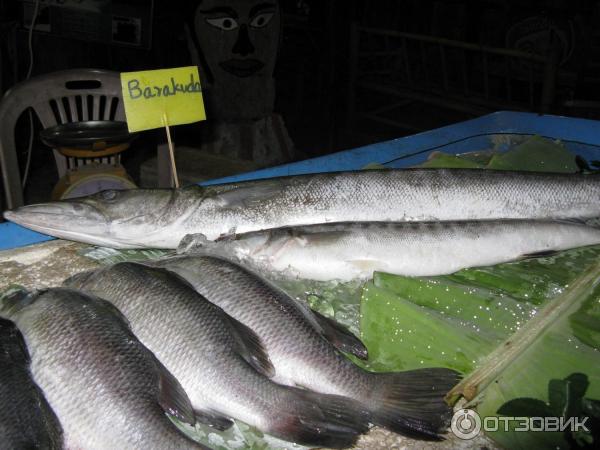 Остров Koh Lipe (Таиланд) фото