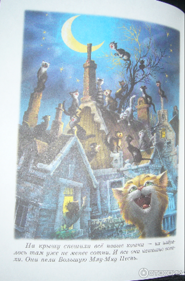 Книга Мурли - Анни Шмидт фото