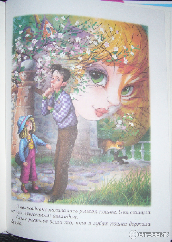 Книга Мурли - Анни Шмидт фото