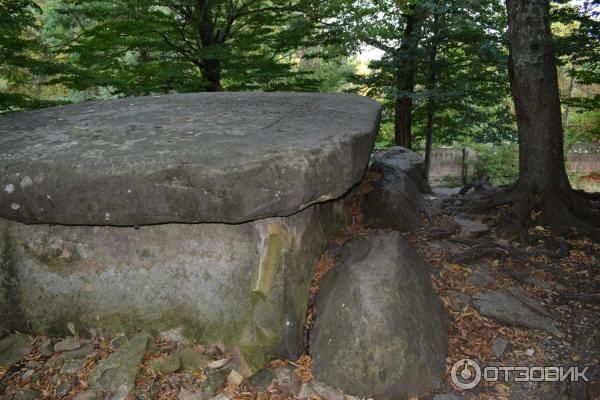 Дольмен в Джубге (Россия, Краснодарский край) фото