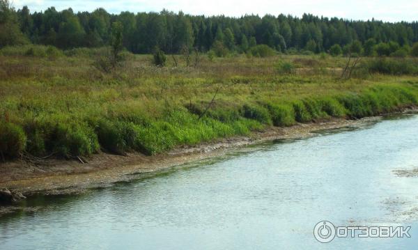 Казанская Трифонова женская пустынь (Россия, Пермский край) фото