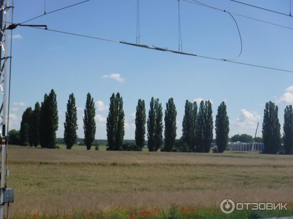 Экскурсия в город Кутна-Гора (Чехия) фото