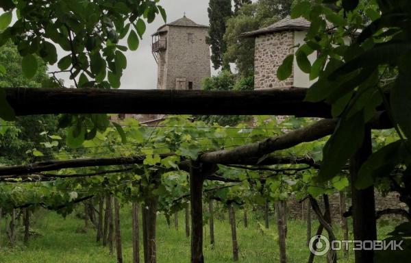 Экскурсия в монастырь Кутлумуш (Греция, Афон) фото