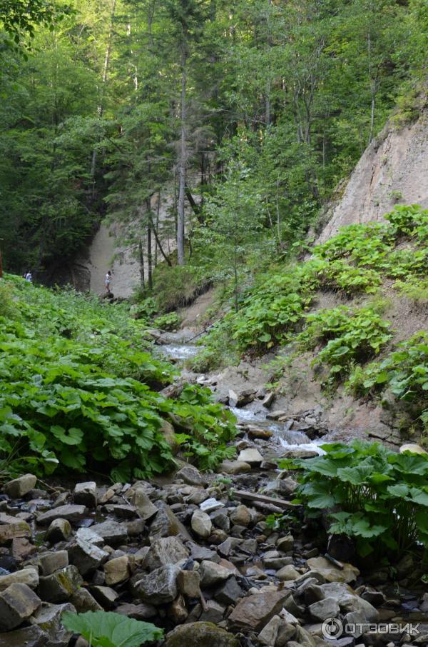 Экскурсия к водопаду Гук (Украина, Ивано-Франковская область) фото