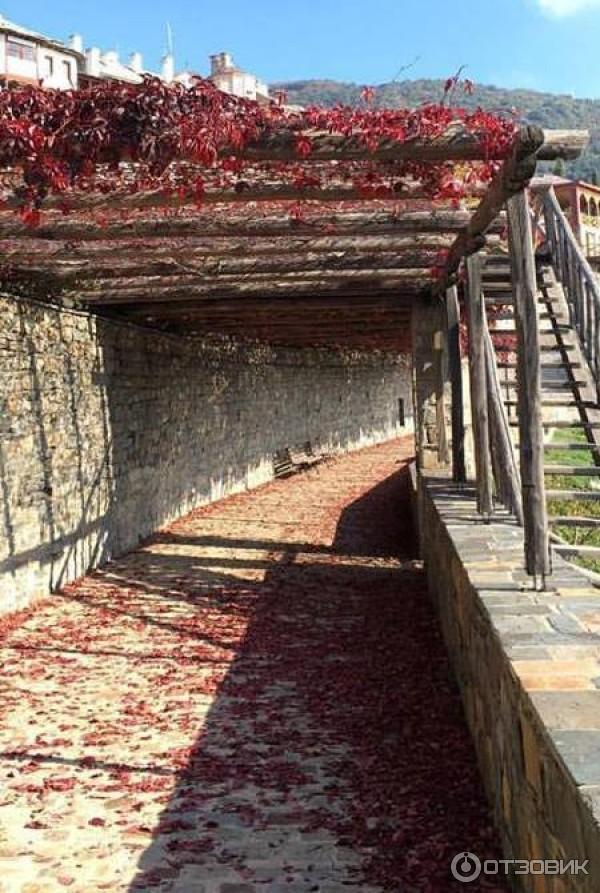 Экскурсия в монастырь Ксиропотам (Греция, Афон) фото