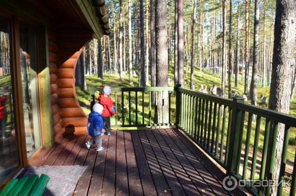 Коттеджный поселок Громово-парк (Россия, Ленинградская область) фото