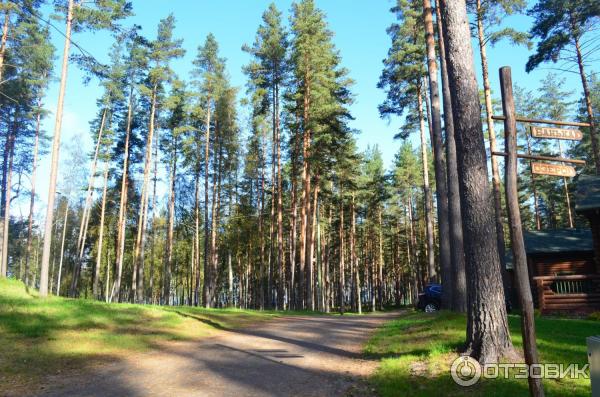 Коттеджный поселок Громово-парк (Россия, Ленинградская область) фото