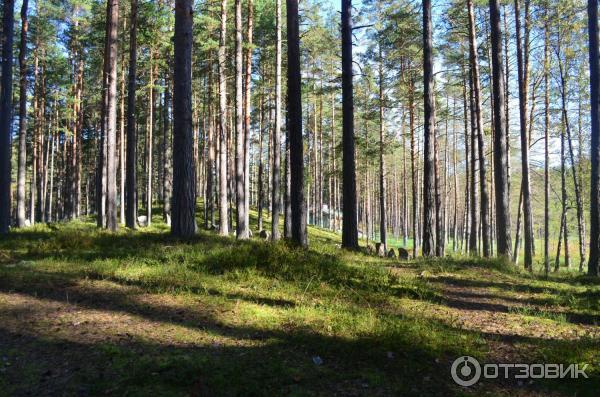 Коттеджный поселок Громово-парк (Россия, Ленинградская область) фото