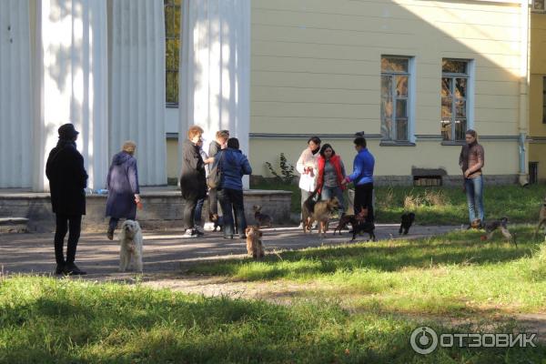 Сад Академии Художеств (Россия, Санкт-Петербург)