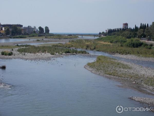 Дендрологический парк Южные культуры (Россия, Адлер) фото