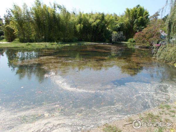 Дендрологический парк Южные культуры (Россия, Адлер) фото