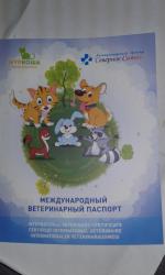Приют для кошек "Муркоша" (Россия, Москва) фото