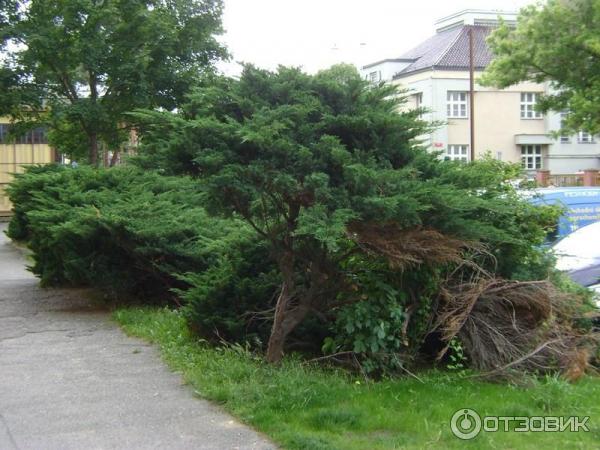 Экскурсия в город Кутна-Гора (Чехия) фото