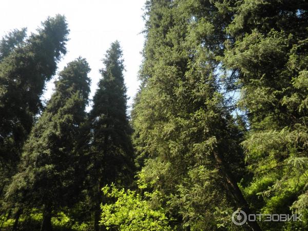 Скит монахов в Аксайском ущелье (Казахстан, Алматинская область) фото