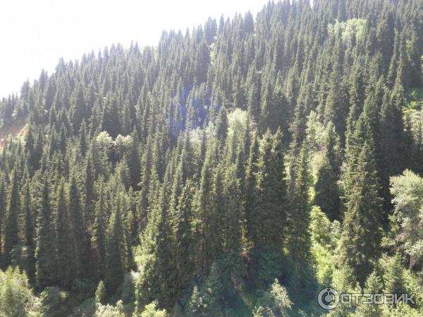 Скит монахов в Аксайском ущелье (Казахстан, Алматинская область) фото