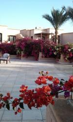 Отель Tamra Baech Resort 4* (Египет, Шарм-эль-Шейх) фото
