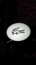 Туалетная вода Lacoste Pour Homme фото