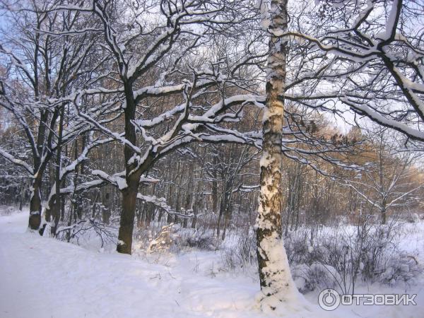 Национальный парк Лосиный Остров (Россия, Москва) фото