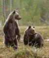 Александр010
