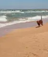 Наталья Романчук