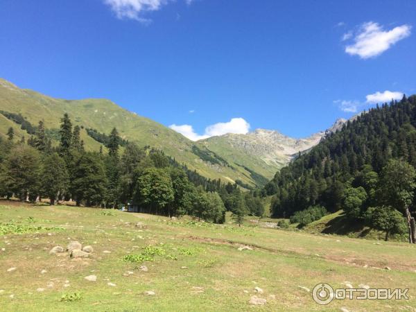 Экскурсия на Альпийские луга (Абхазия, Гудаутский район) фото