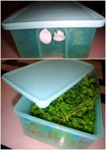 Контейнер Tupperware "Умный холодильник" фото