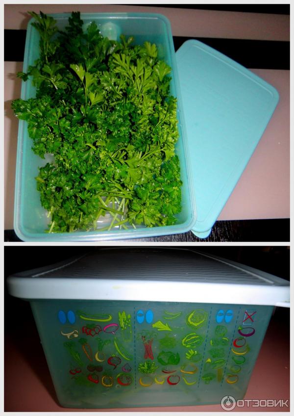 Контейнер Tupperware Умный холодильник фото