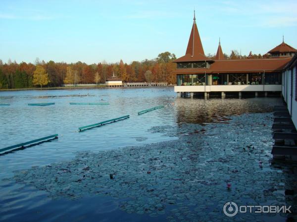 Город-курорт Хевиз (Венгрия, Хевиз) фото