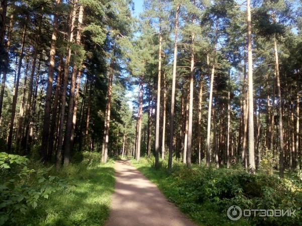 Детская городская больница Святой Ольги (Россия, Санкт-Петербург) фото