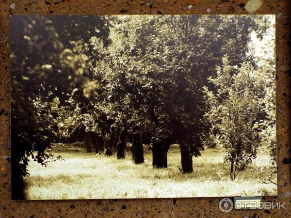 Выставка фотографии Карпа Пашиньяна Гений места (Россия. Ростов-на-Дону)