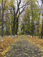 Историко-культурный природно-ландшафтный музей-заповедник "Усадьба С. Н.Худекова" (Россия, Ерлино) фото