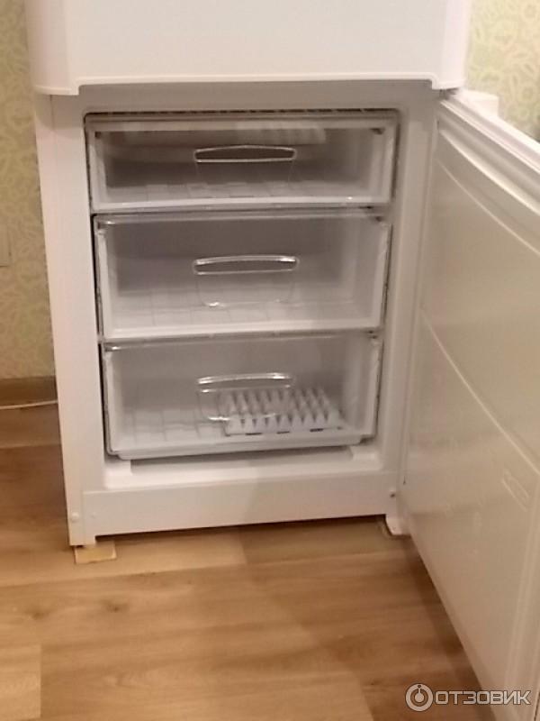 Холодильник Indesit IB 160 R фото