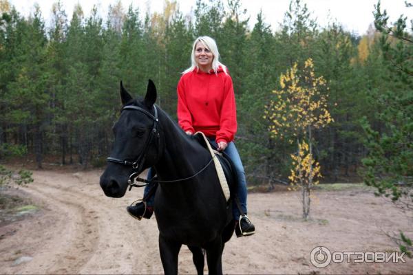 Кирочное подворье Загородная база (Россия, Ленинградская область) фото