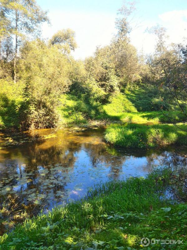 Парк-отель Воробьи (Россия, Обнинск) фото