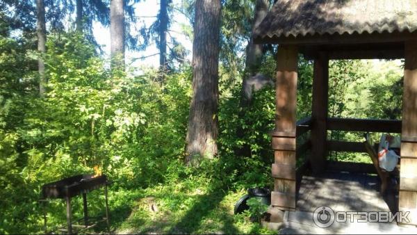 Парк-отель Воробьи (Россия, Обнинск) фото