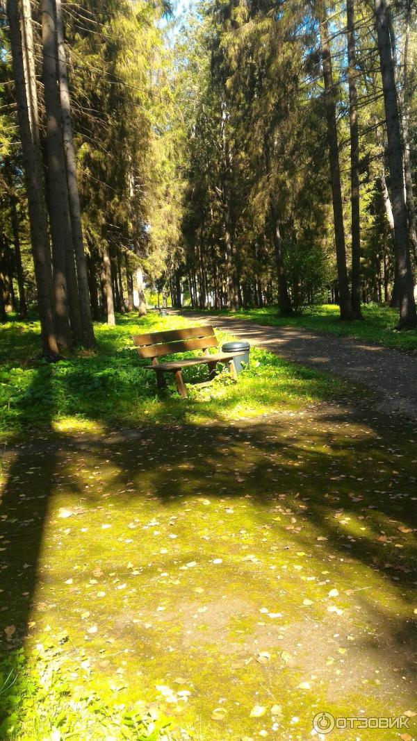 Парк-отель Воробьи (Россия, Обнинск) фото