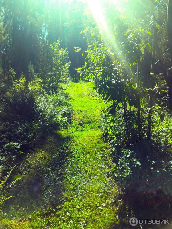 Парк-отель Воробьи (Россия, Обнинск) фото